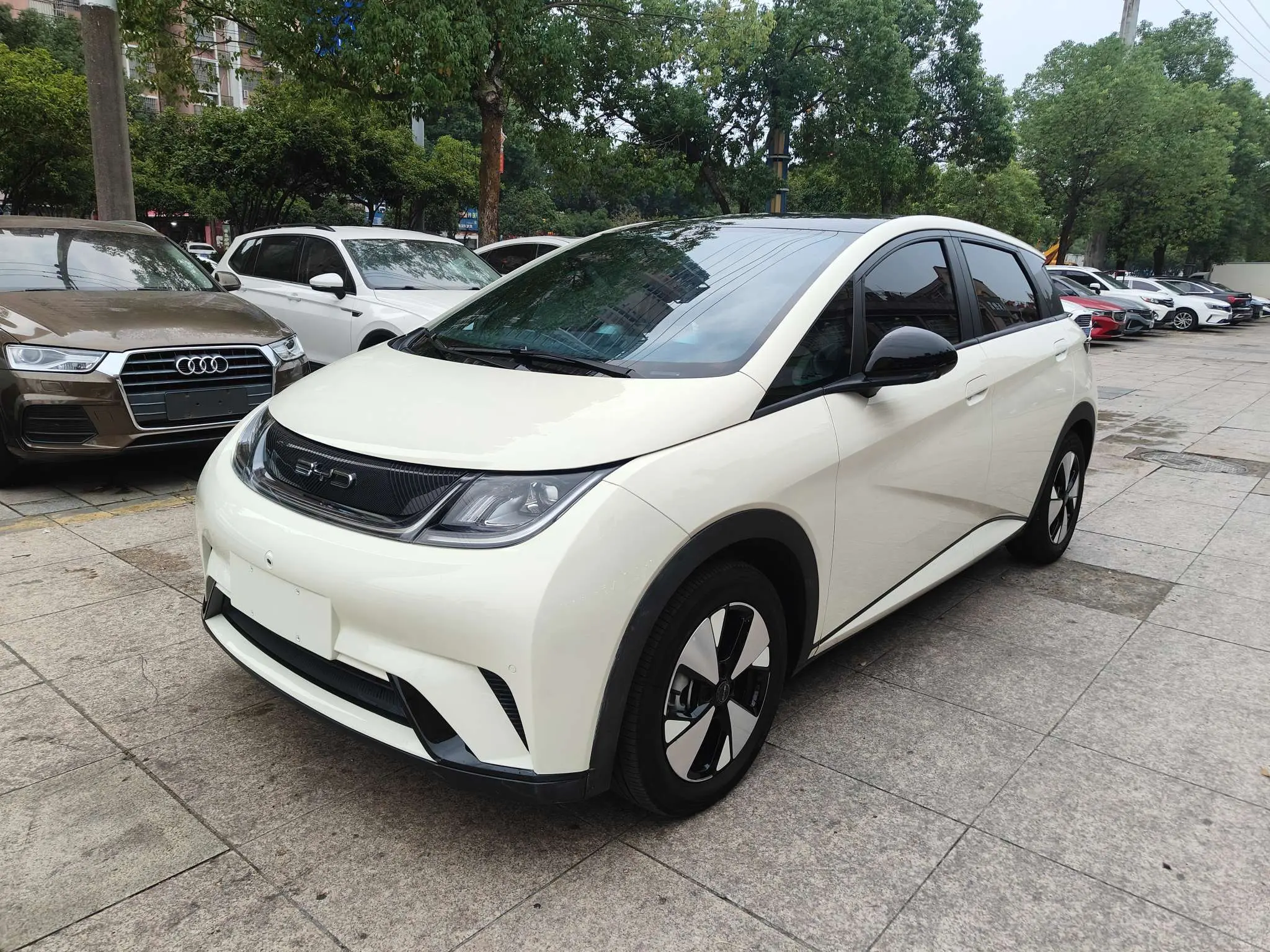 BYD Dolphin