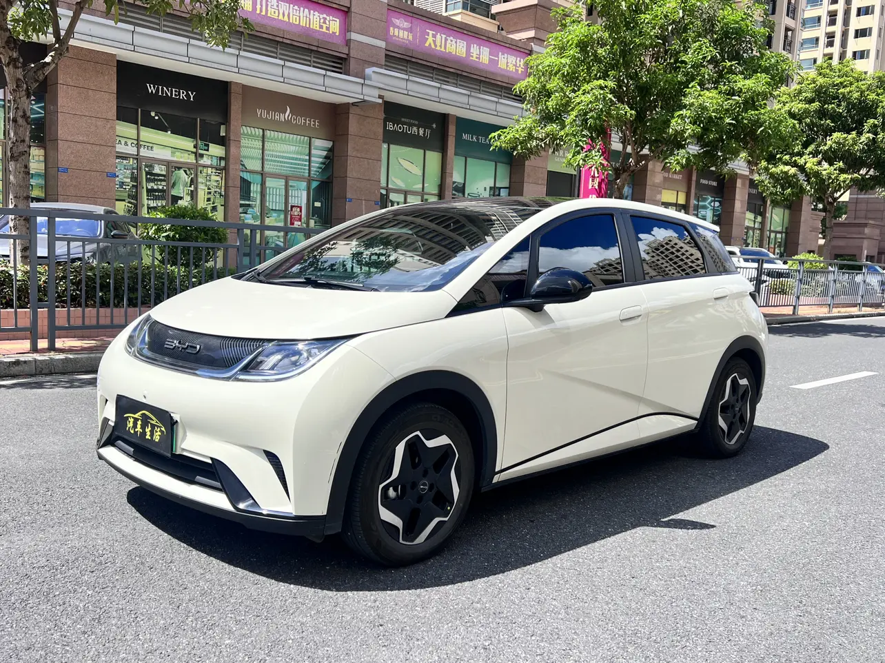 BYD Dolphin