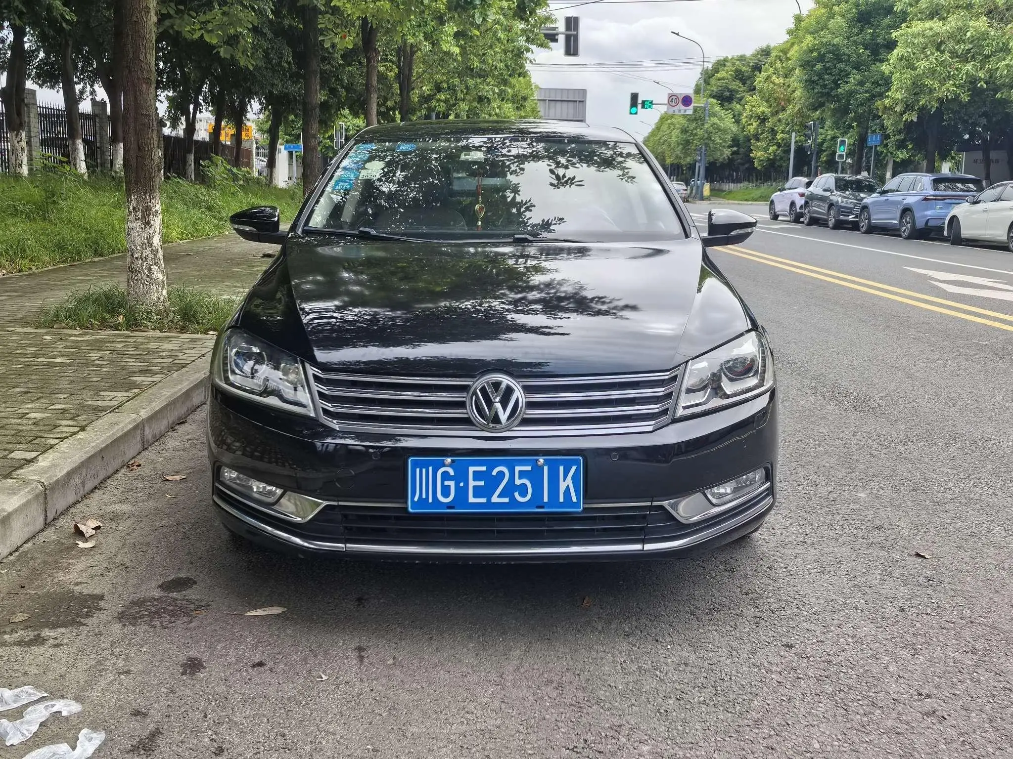 Volkswagen Magotan  из Китая