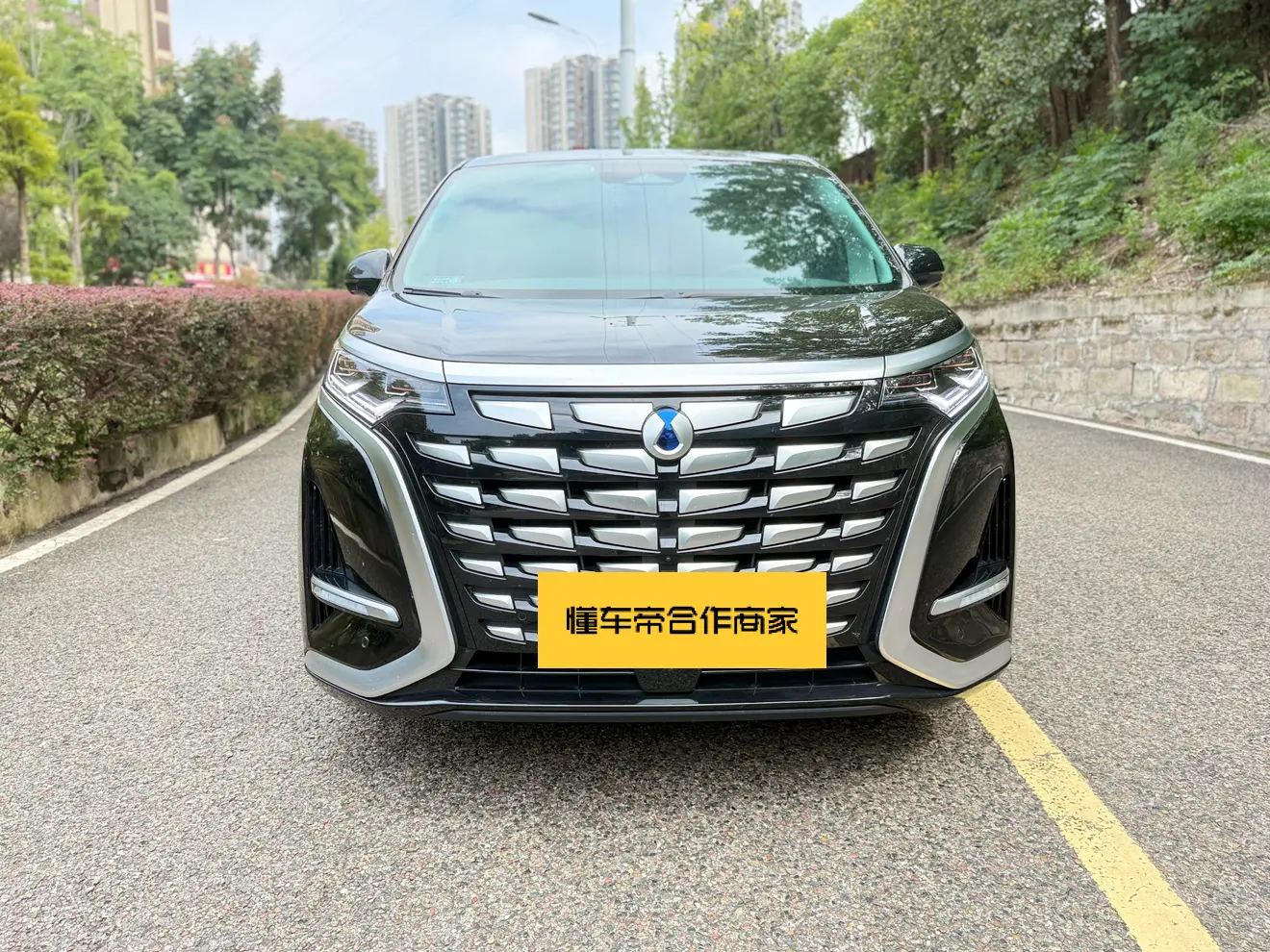 Denza D9 DM  из Китая