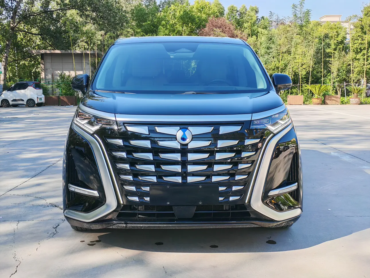 Denza D9 DM  из Китая