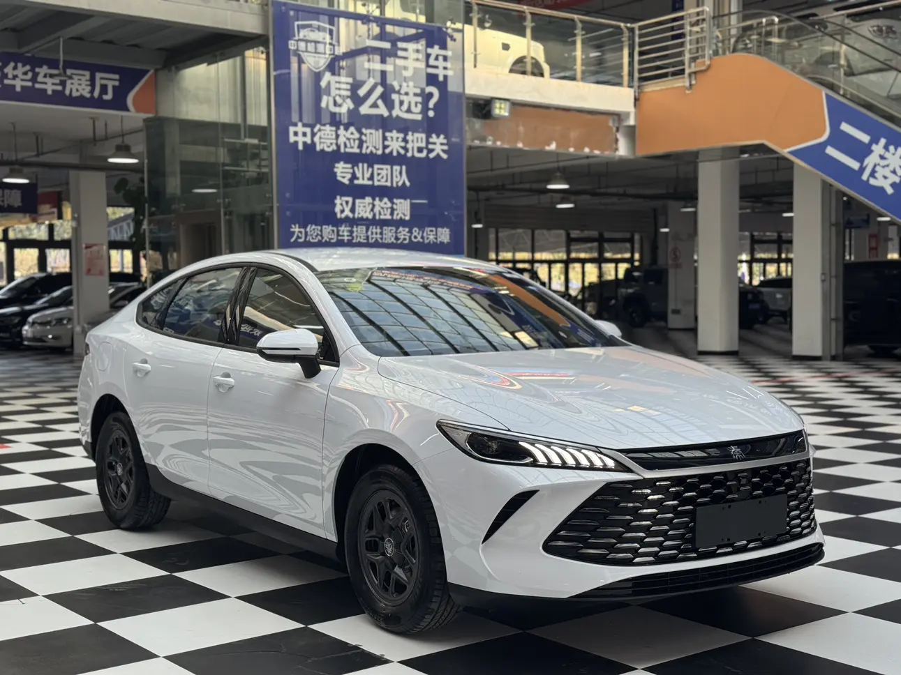 BYD Qin PLUS DM