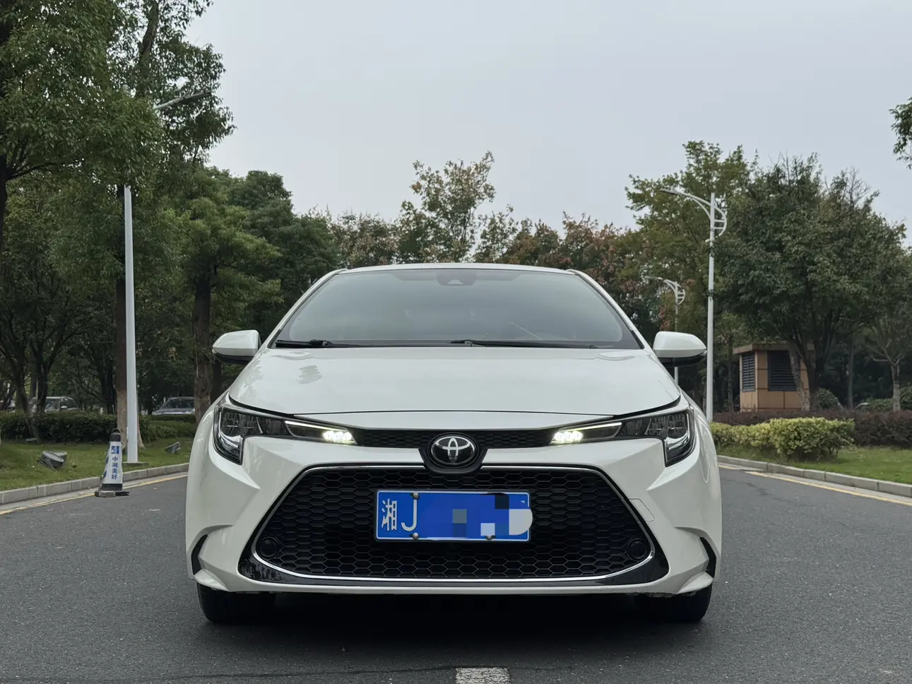 Toyota Levin (Lei Ling)  из Китая