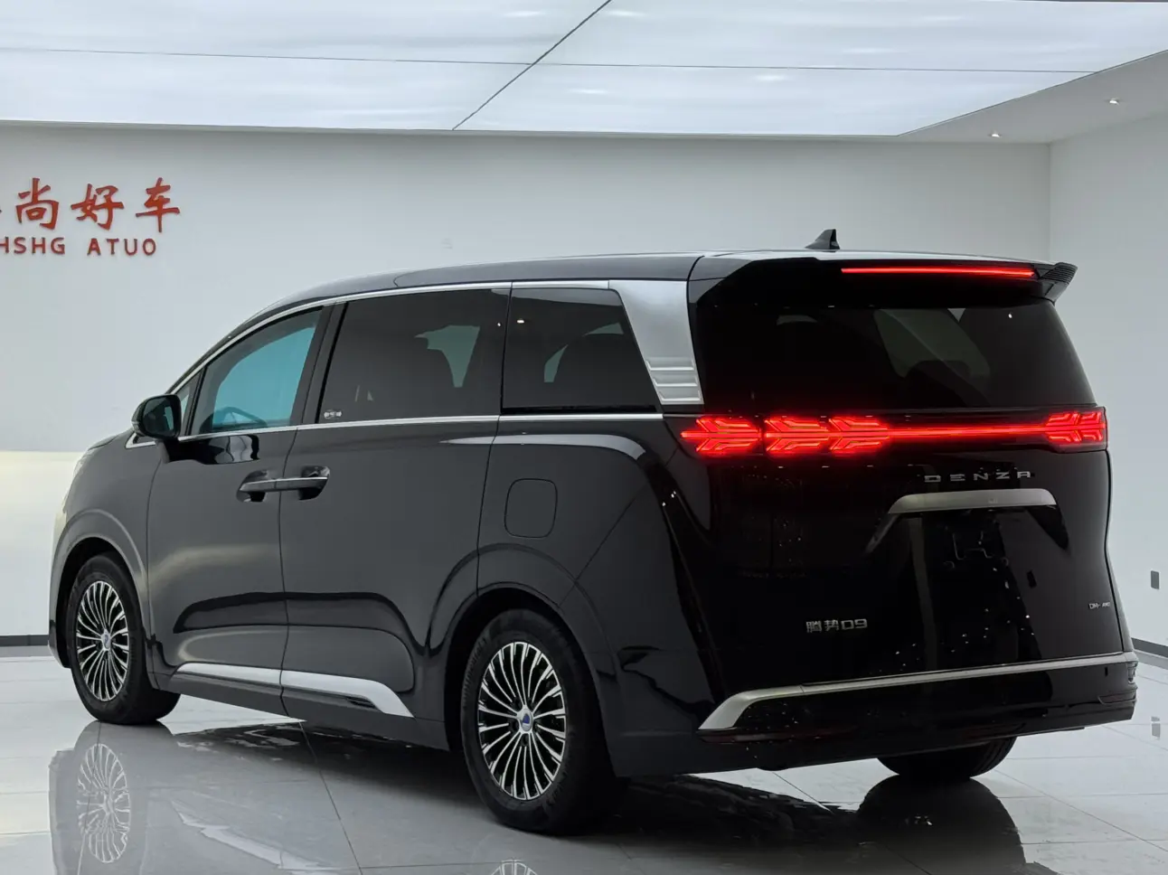 Denza D9 DM