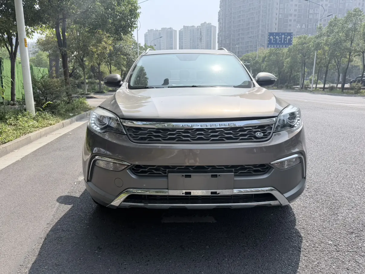 Cheetah cars Cheetah CS10