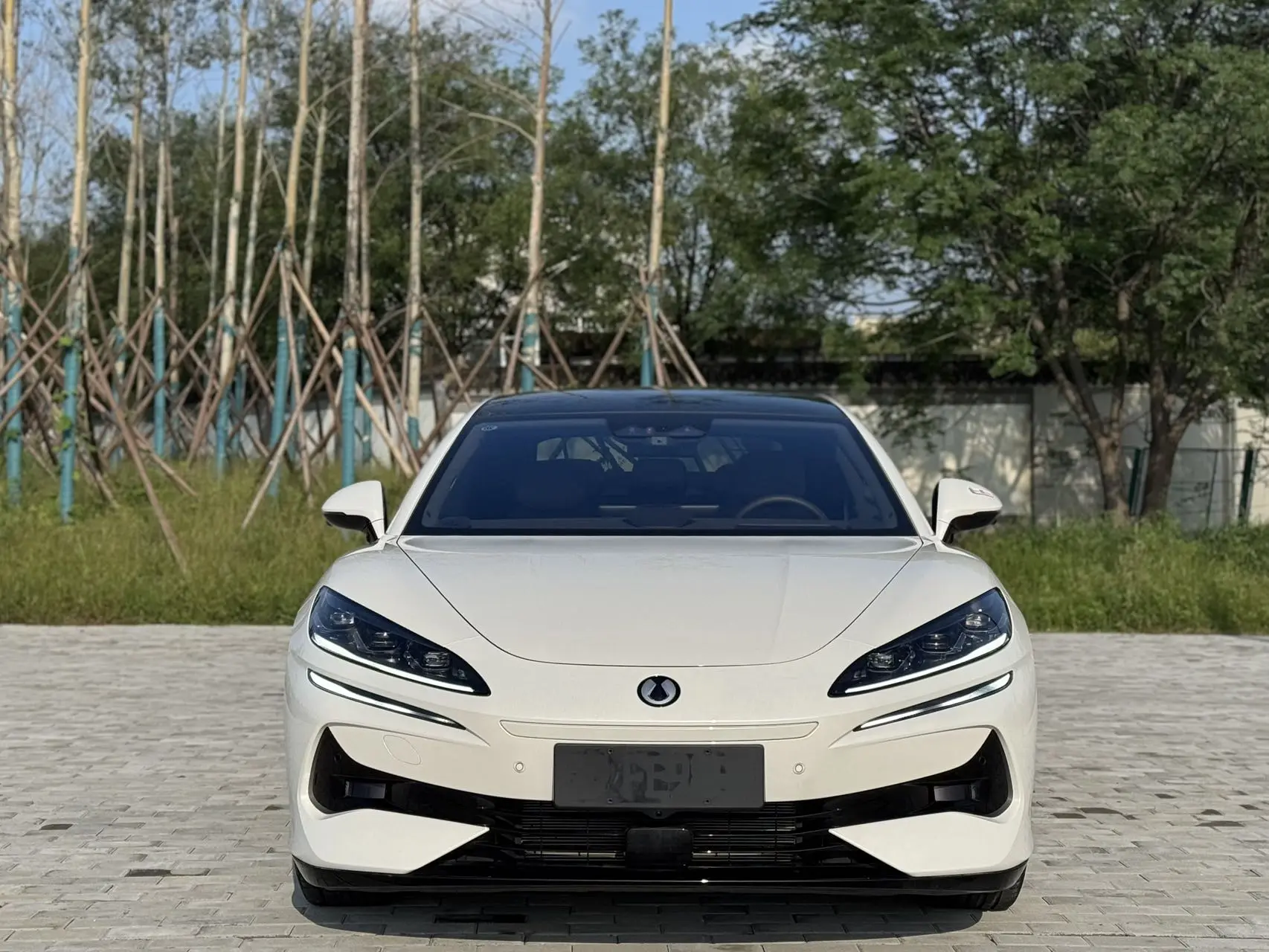 Denza Tengzhong Z9 DM