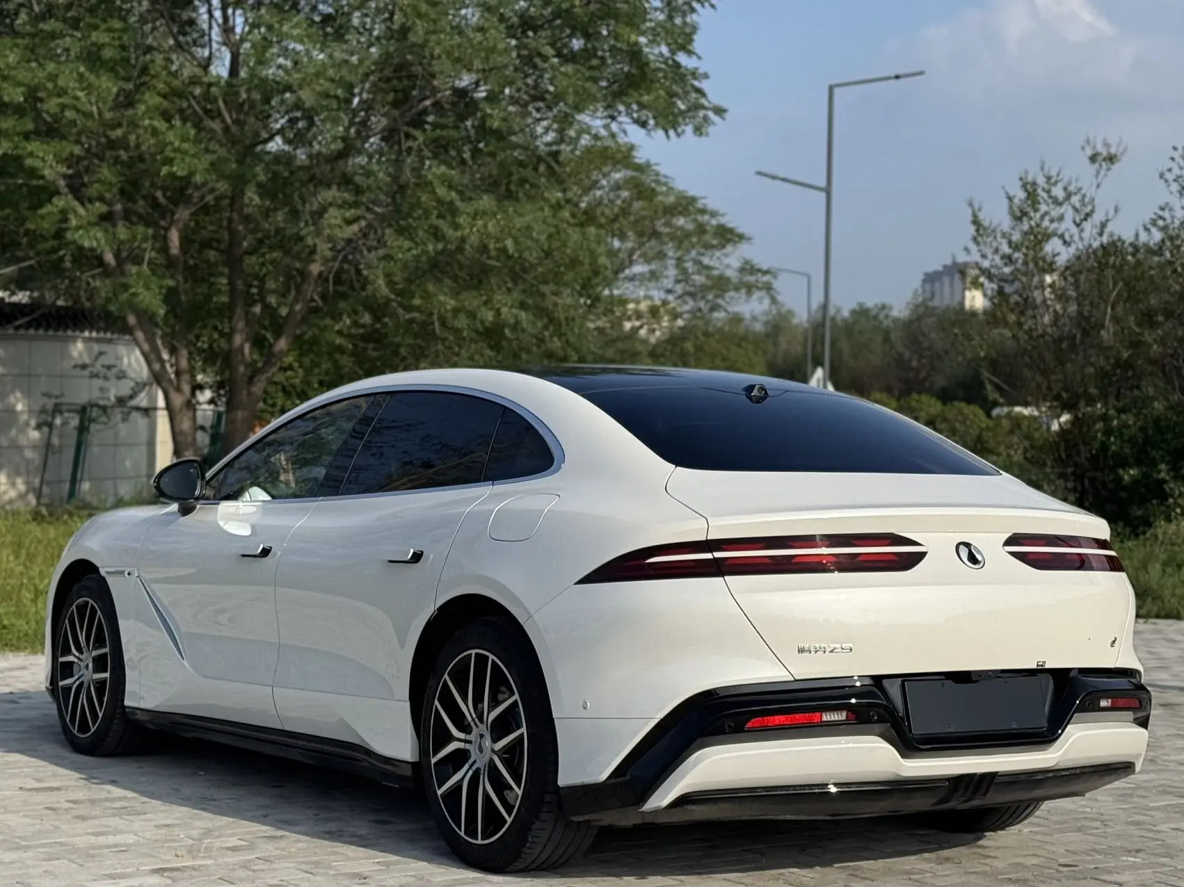 Denza Tengzhong Z9 DM