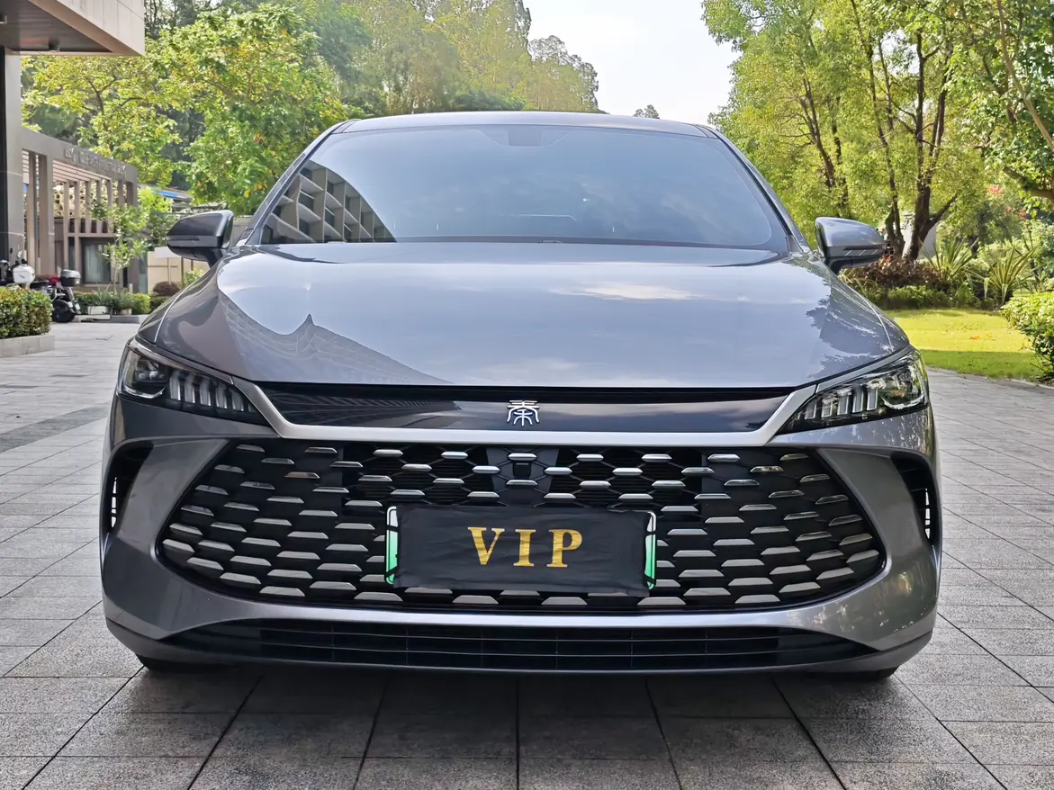 BYD Qin PLUS DM  из Китая