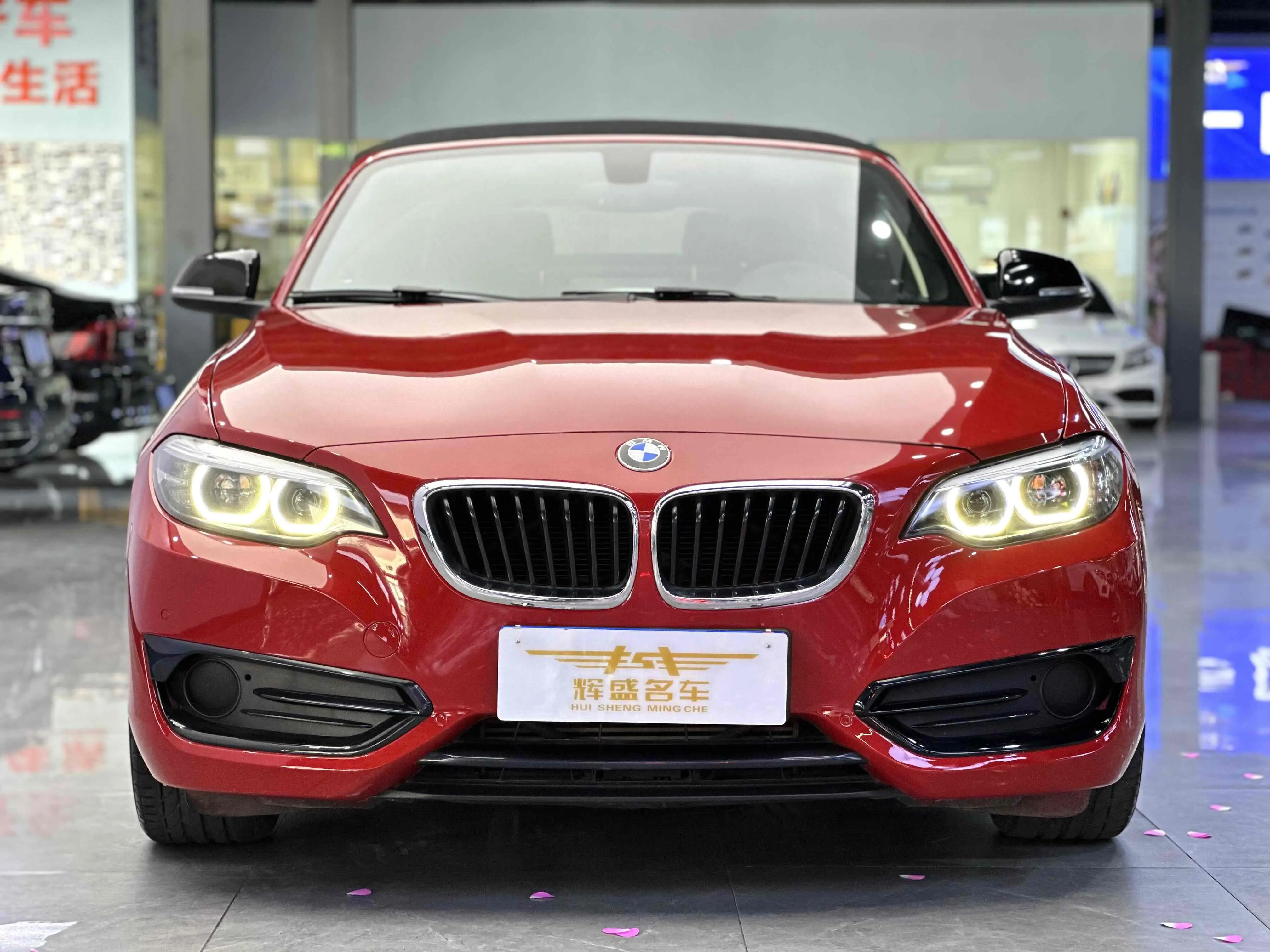 BMW 2 Series (Imported)