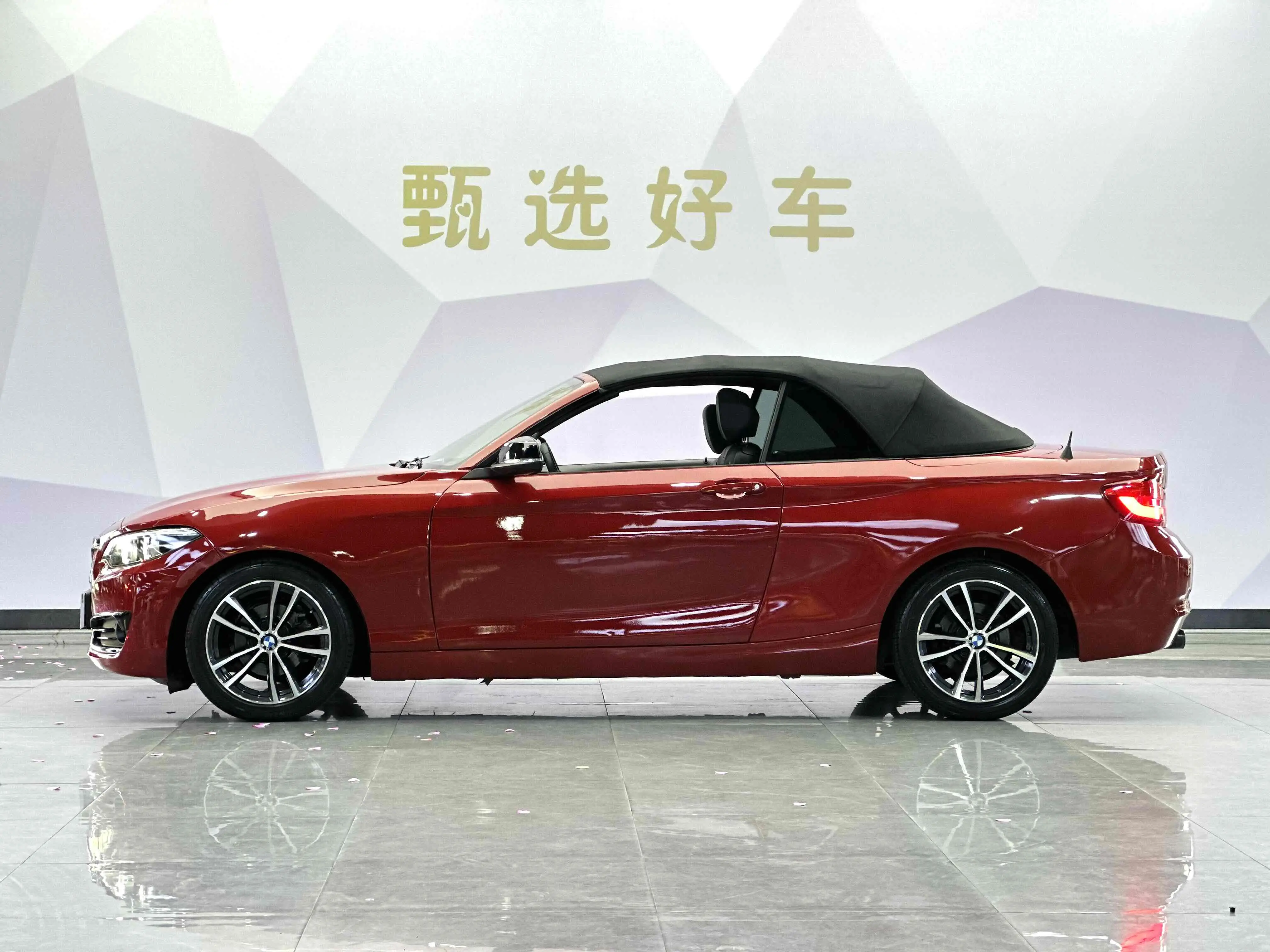 BMW 2 Series (Imported)