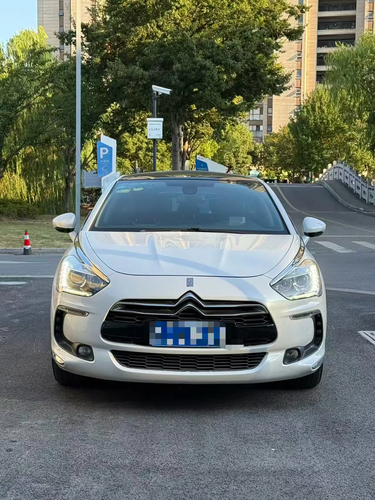DS 5