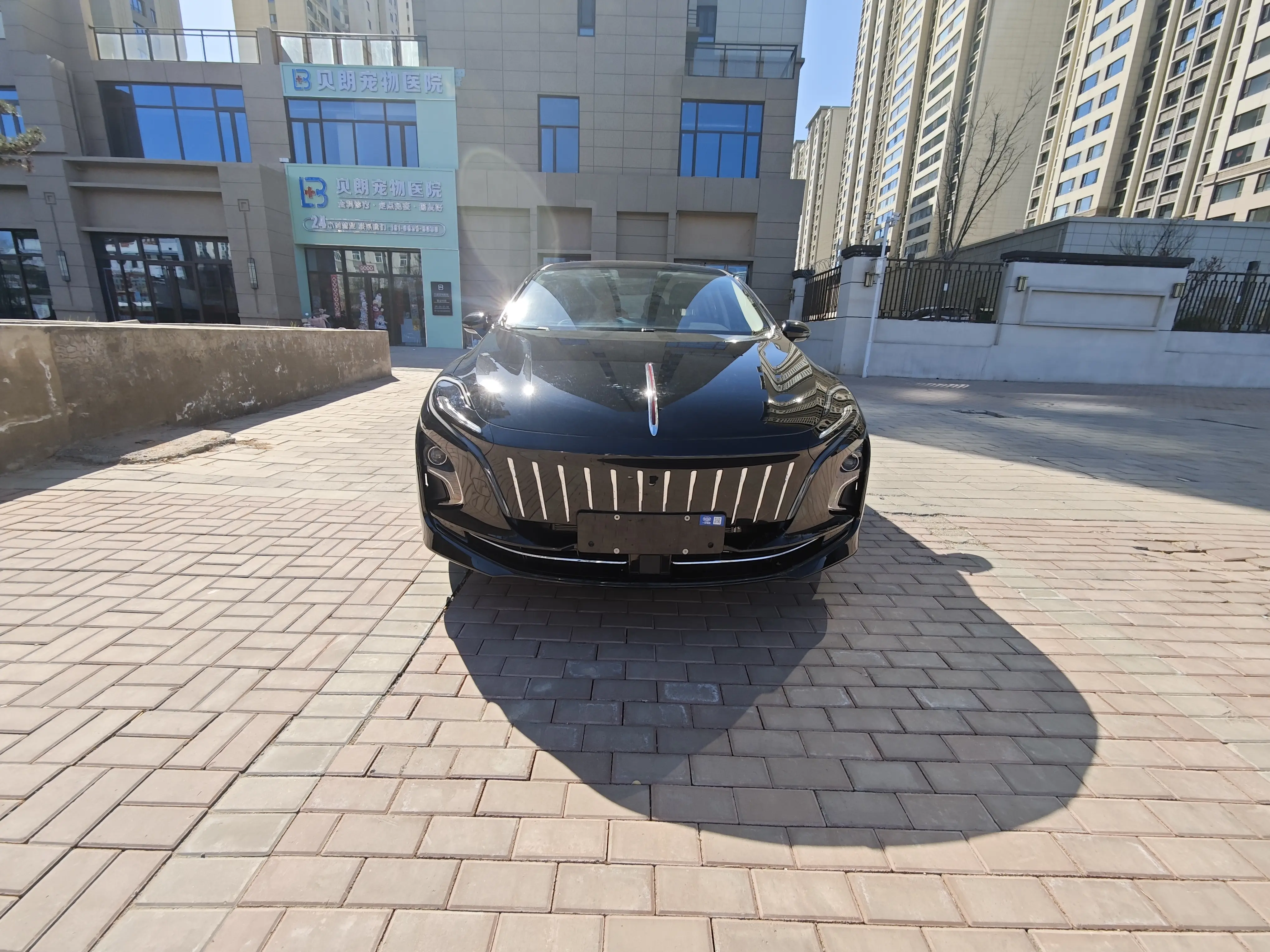 Hongqi E-QM5  из Китая