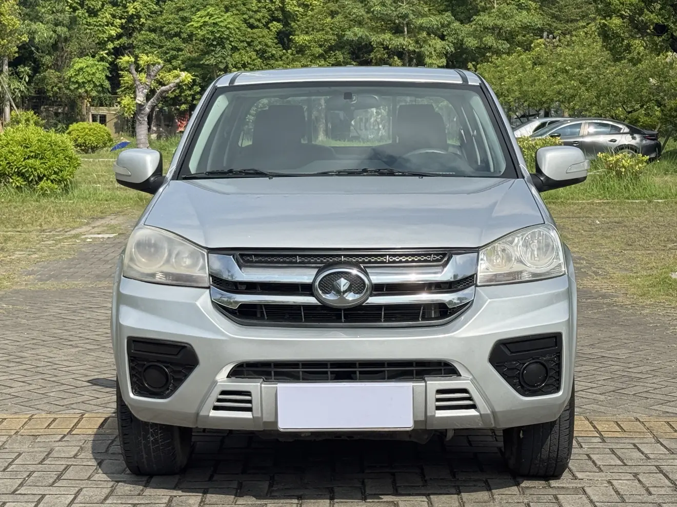 Great Wall Wing Jun 5