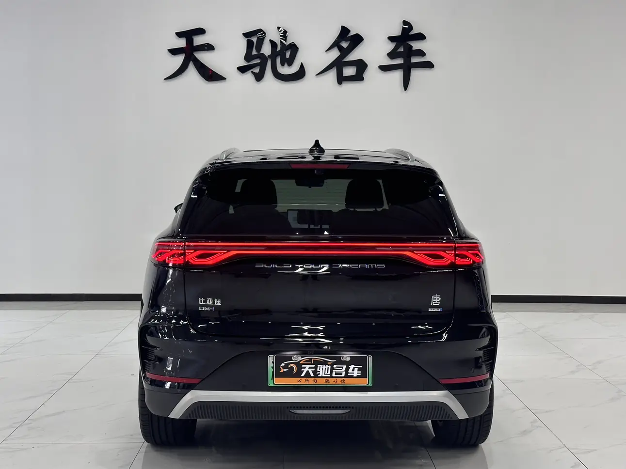 BYD Tang DM