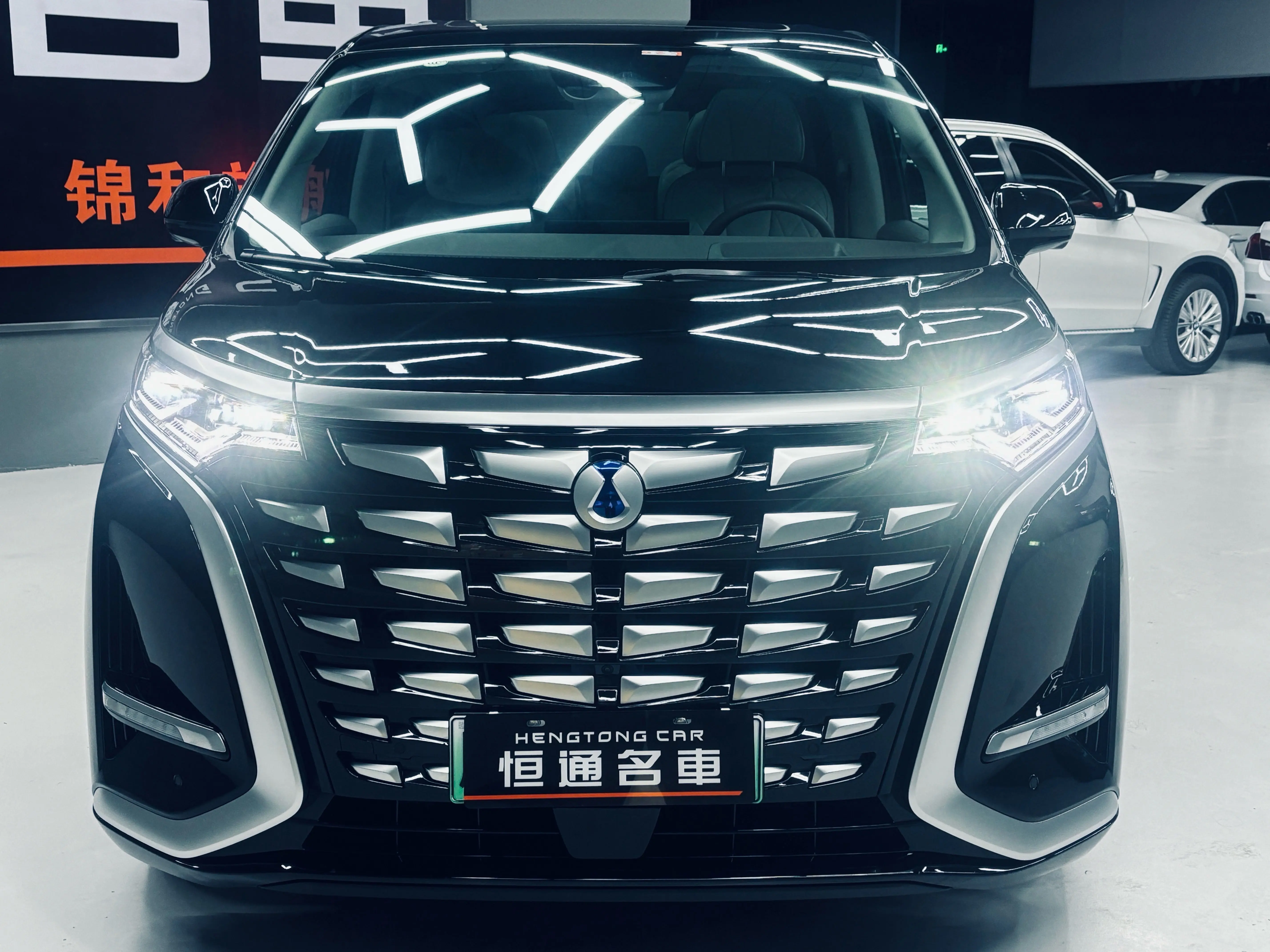 Denza D9 DM  из Китая