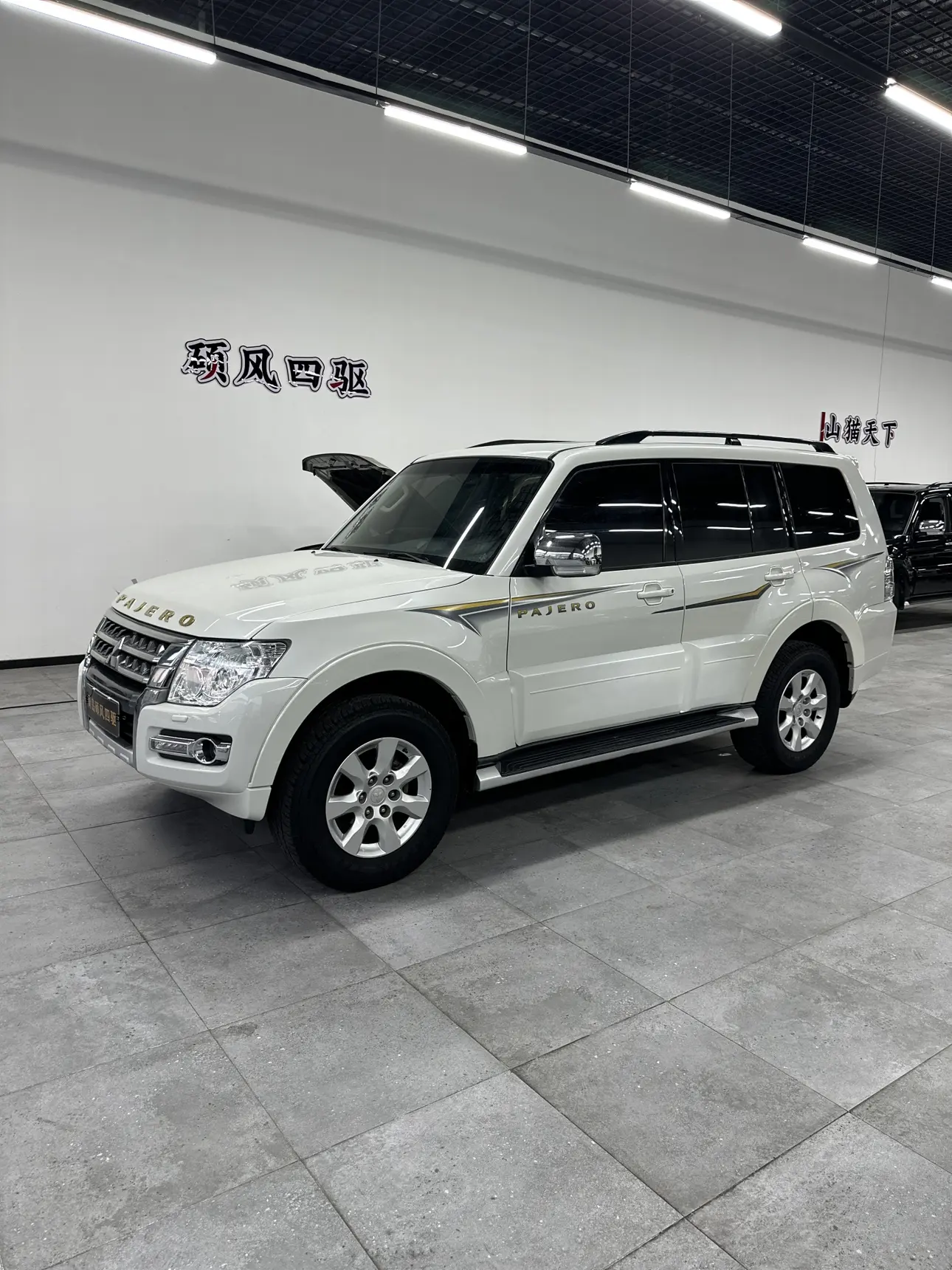 Mitsubishi Pajero (imported)