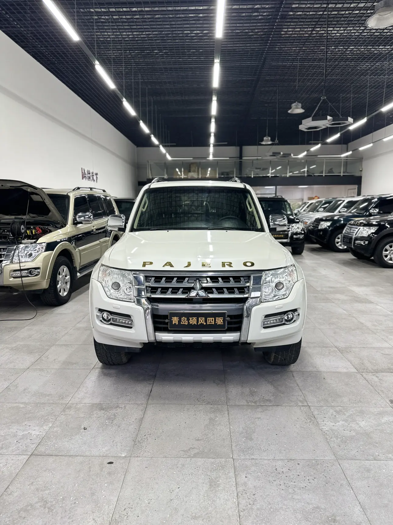 Mitsubishi Pajero (imported)