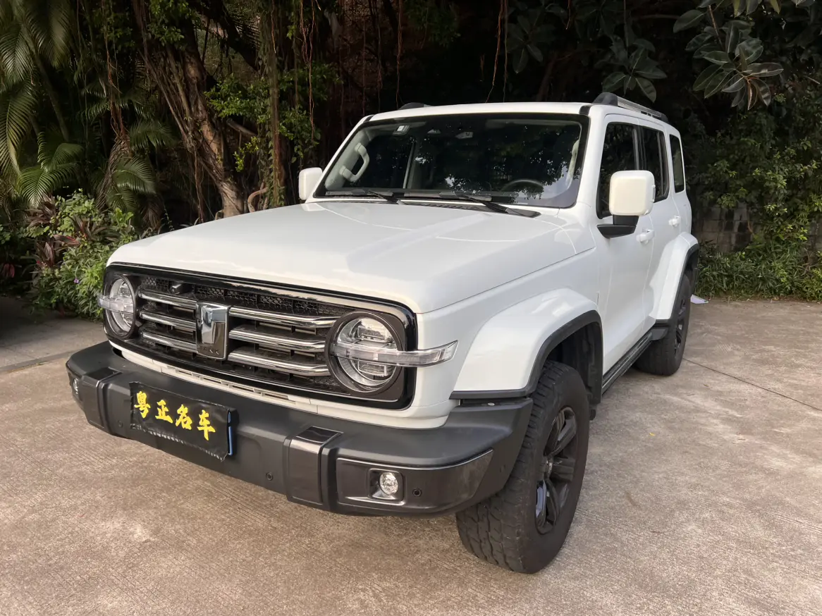 Tank 300  из Китая