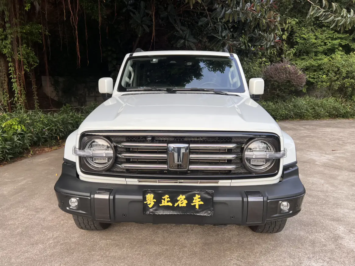 Tank 300  из Китая