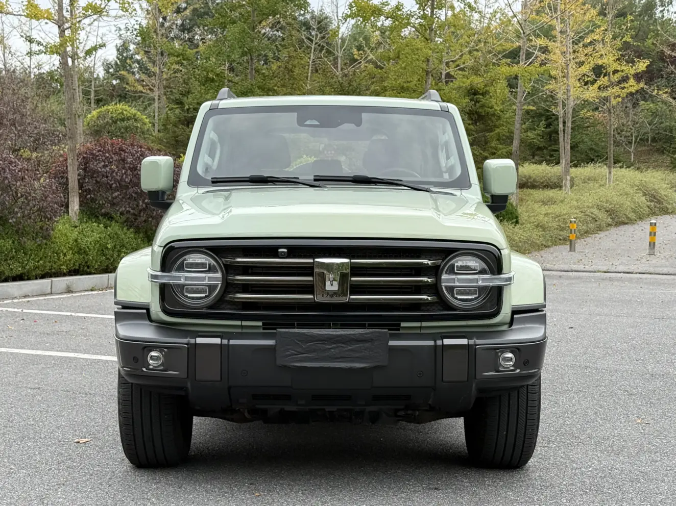 Tank 300  из Китая