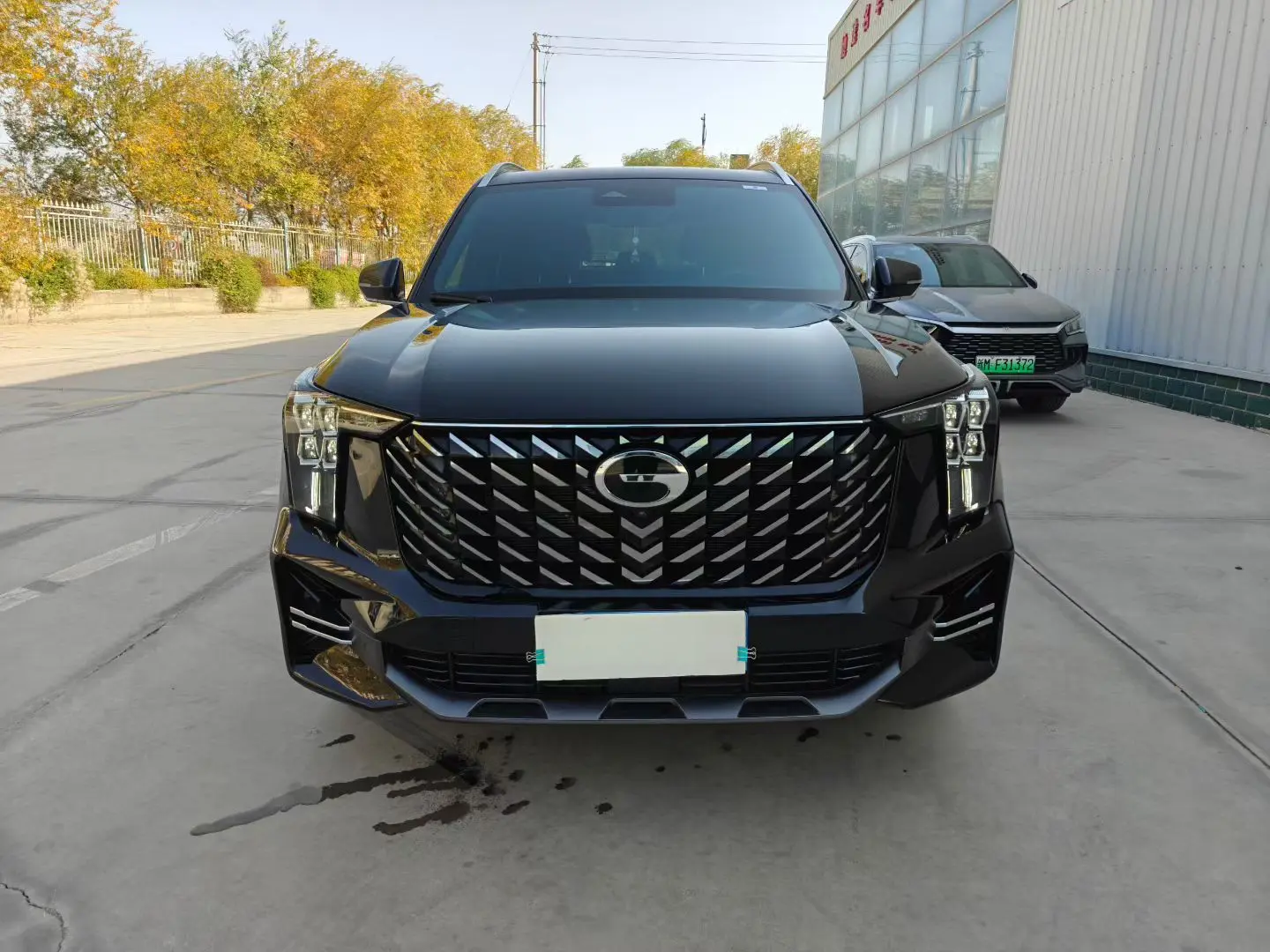 GAC Trumpchi GS8