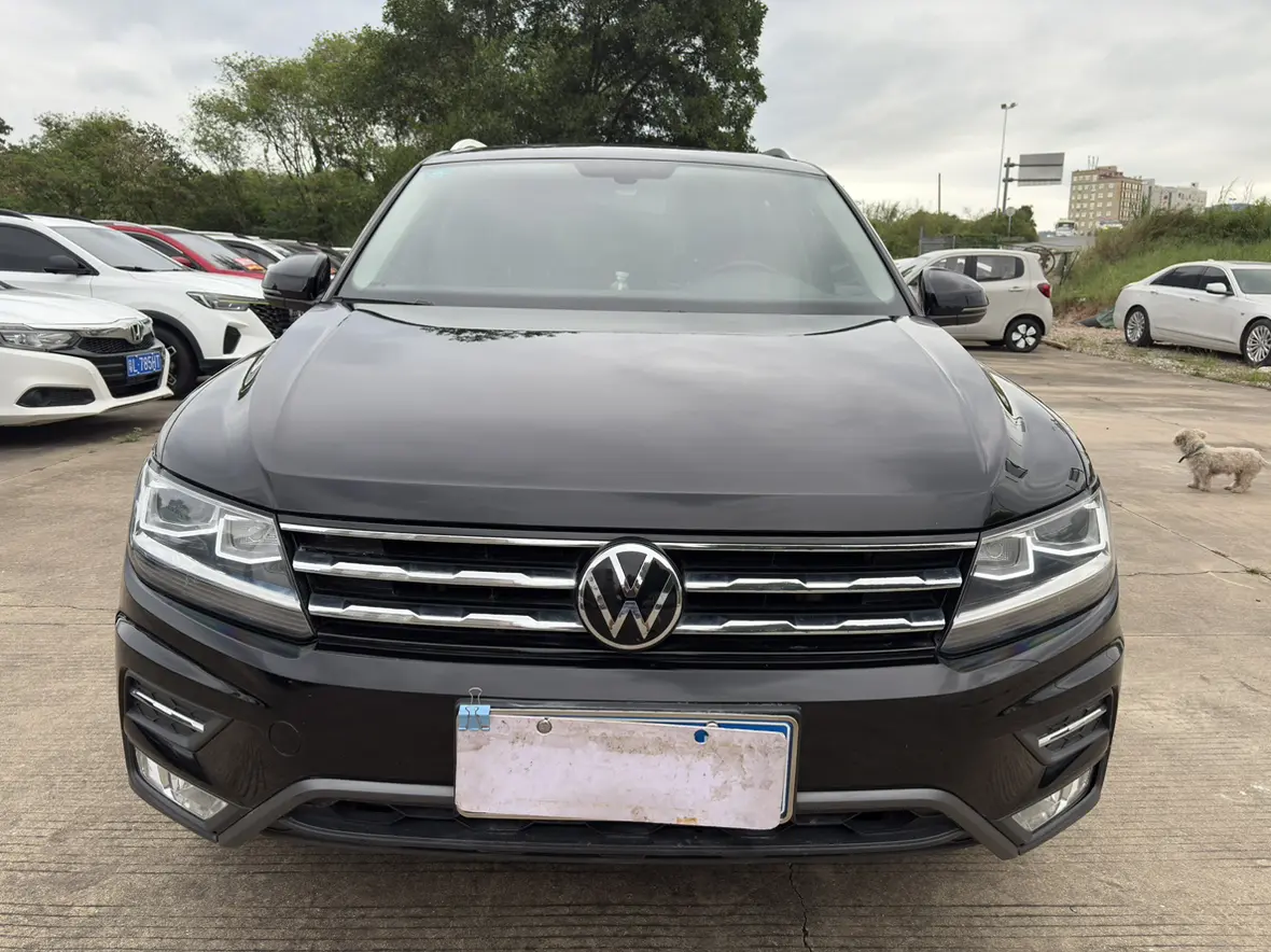 Volkswagen Tiguan L  из Китая