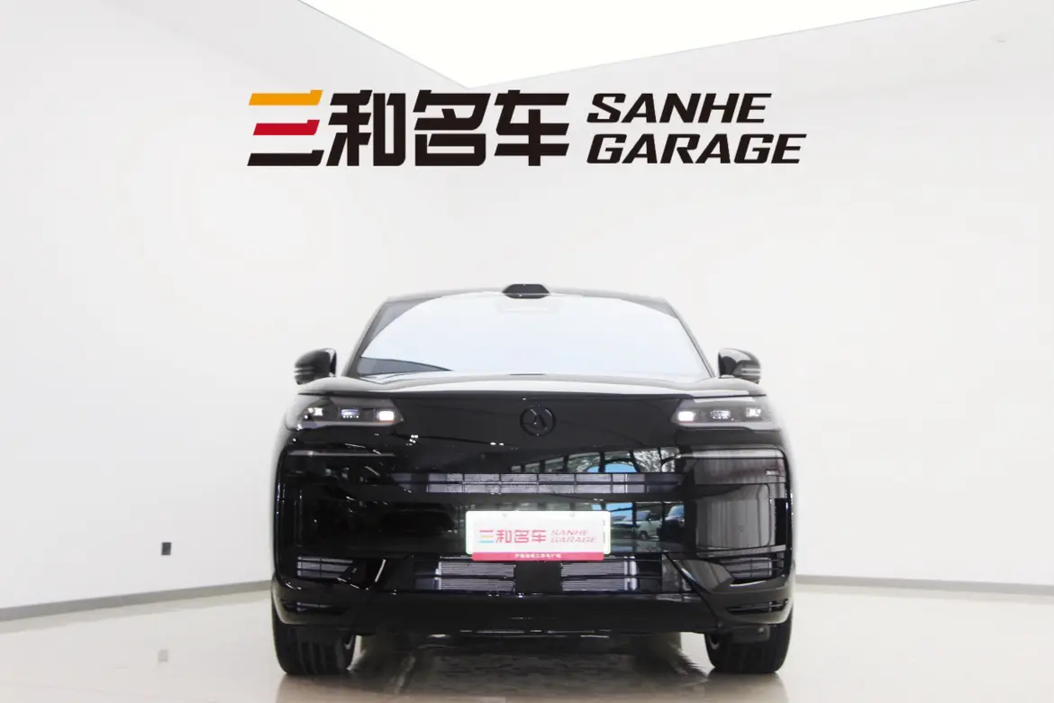 Denza Tengzhong N9 DM