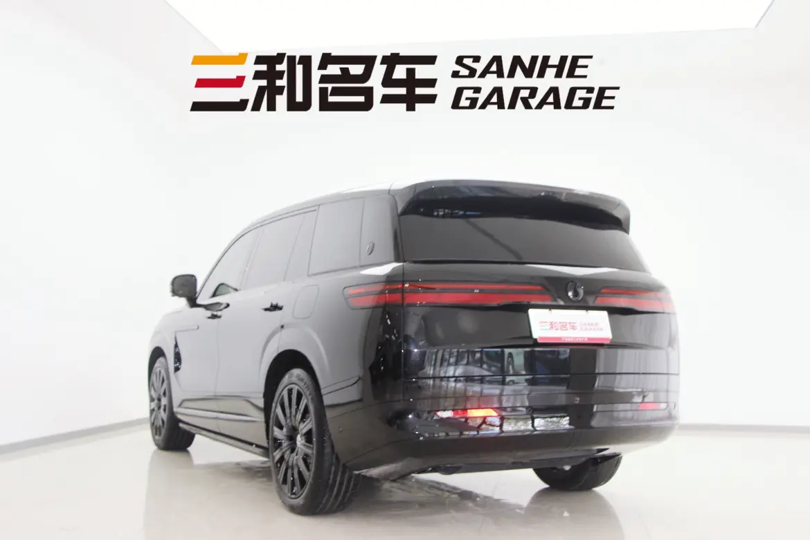 Denza Tengzhong N9 DM