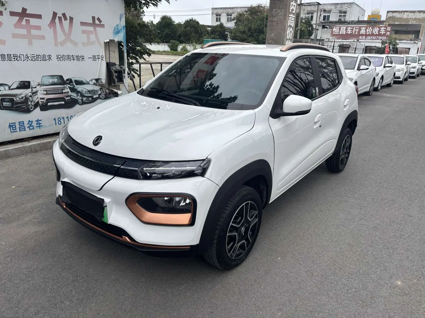Dongfeng Nano EX1
