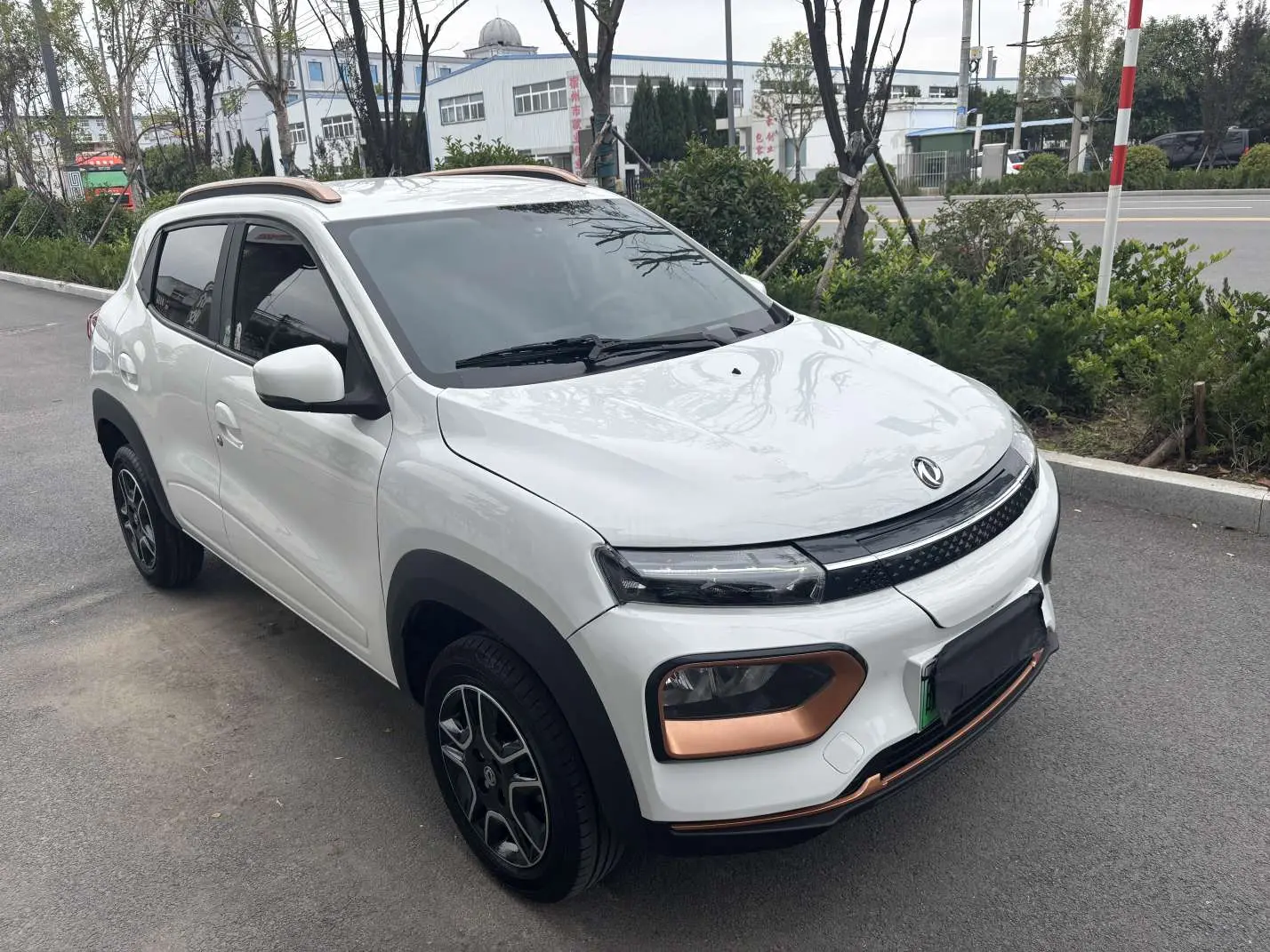 Dongfeng Nano EX1
