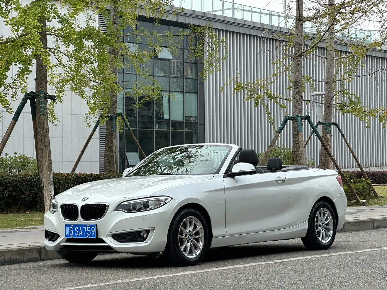 BMW 2 Series (Imported)
