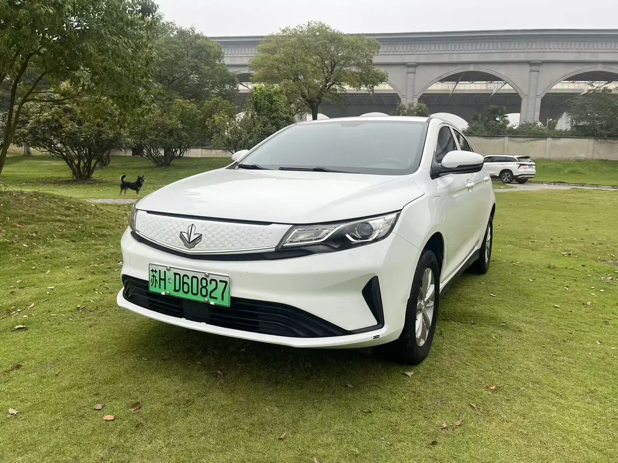 Ruilan Maple Leaf 60s