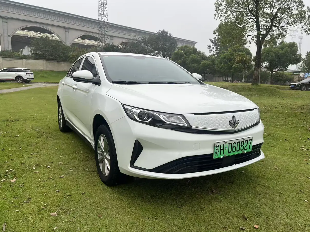 Ruilan Maple Leaf 60s