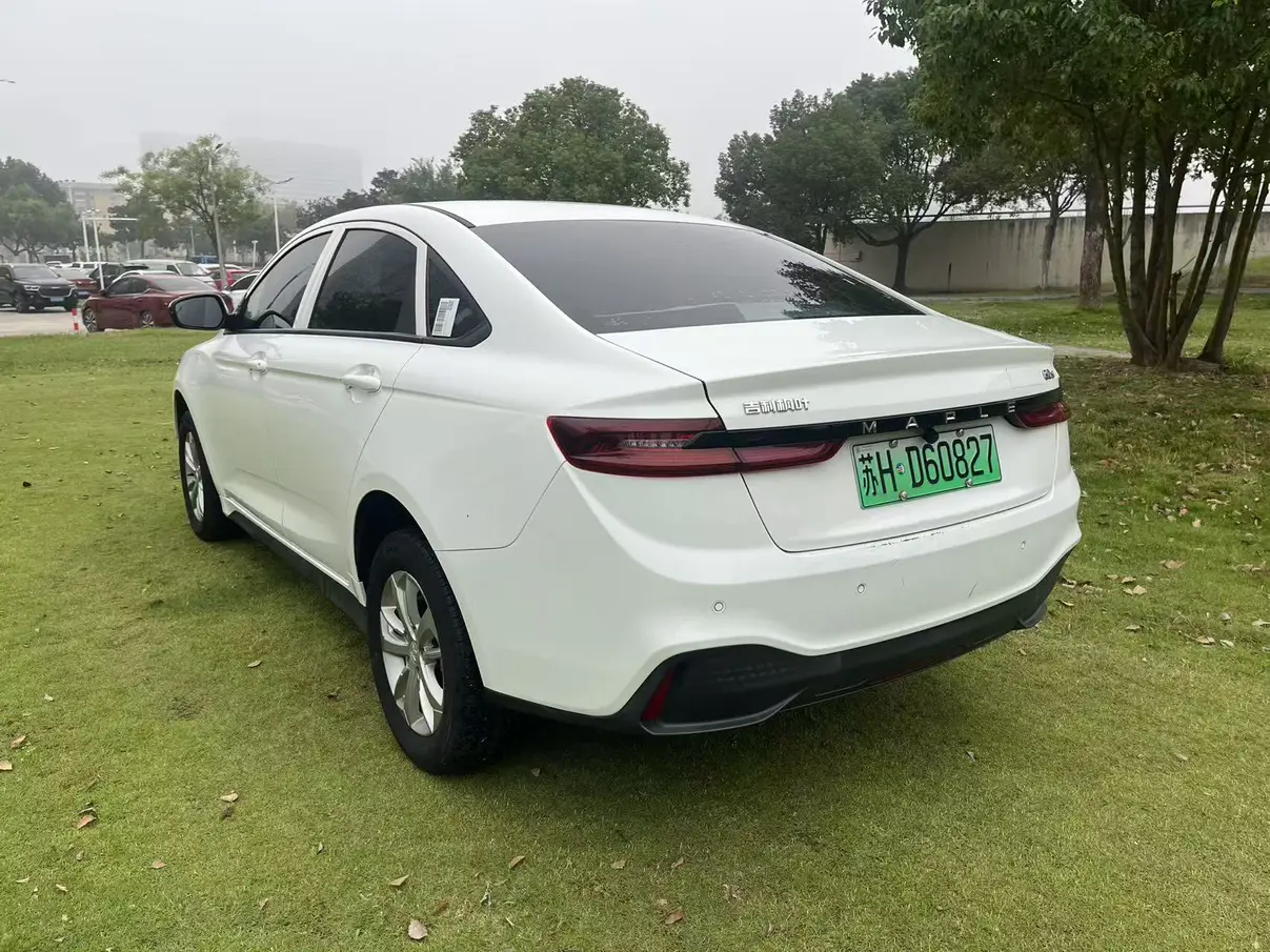 Ruilan Maple Leaf 60s