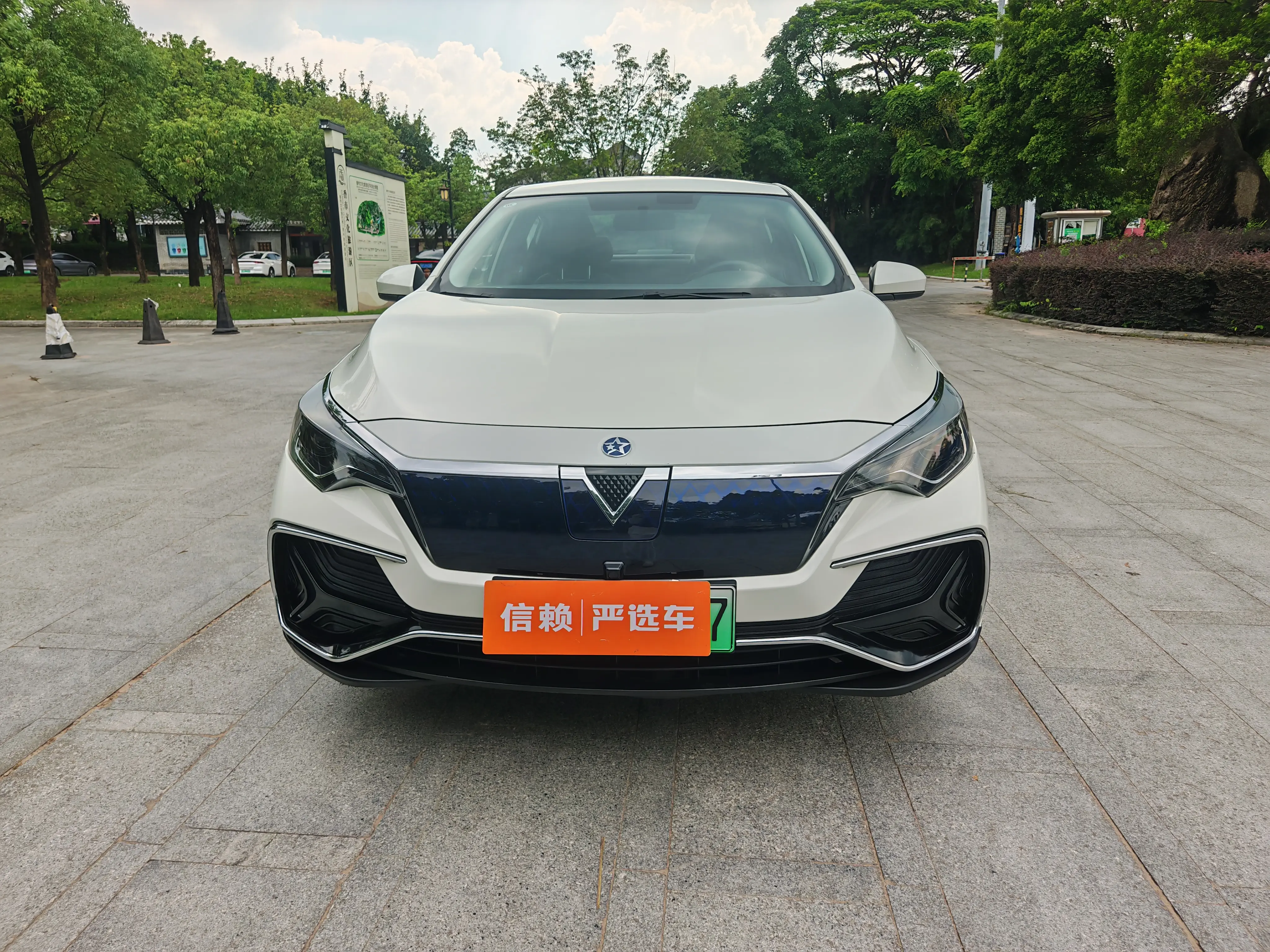 Kai Chen Venucia D60 EV