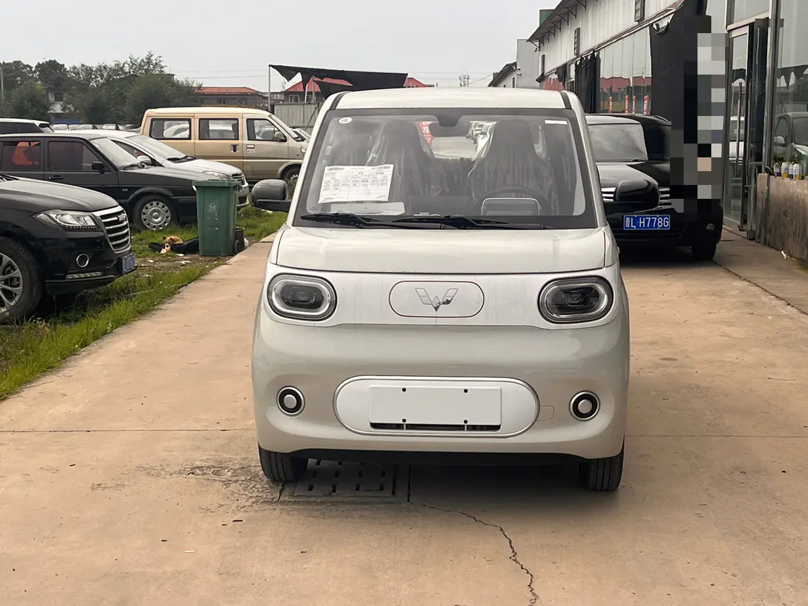 Wuling Hongguang MINIEV  из Китая