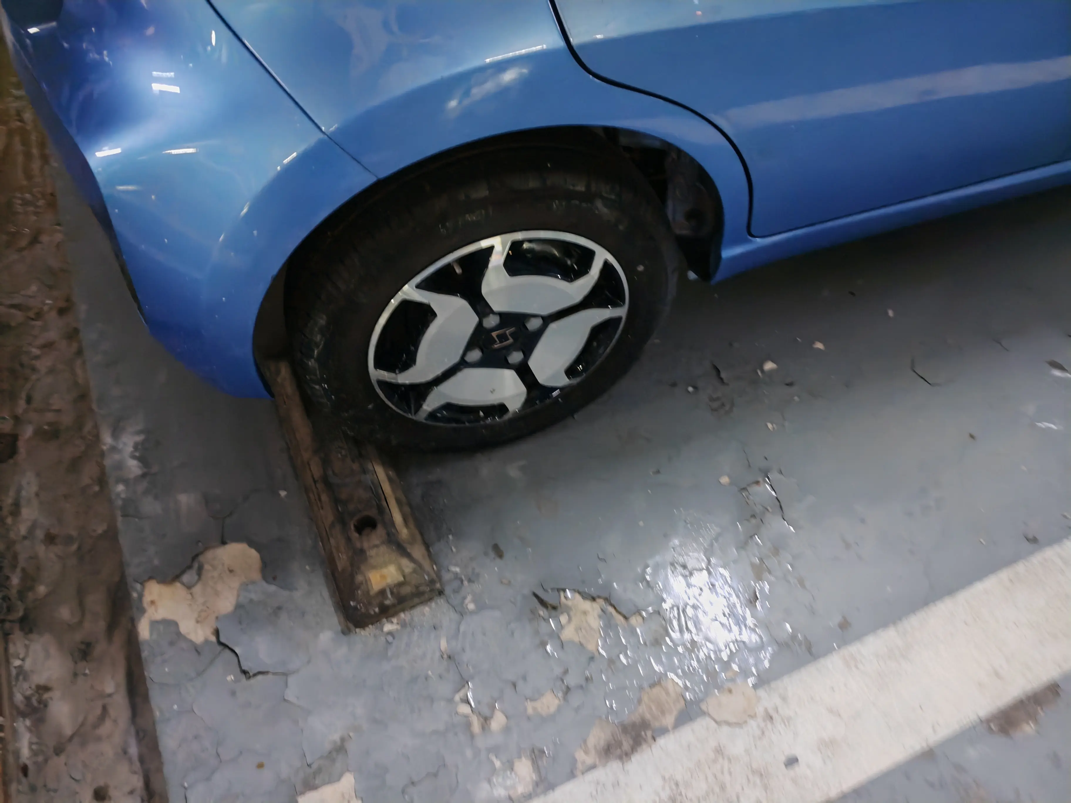 JAC (Sihao) Sihao Flower Fairy