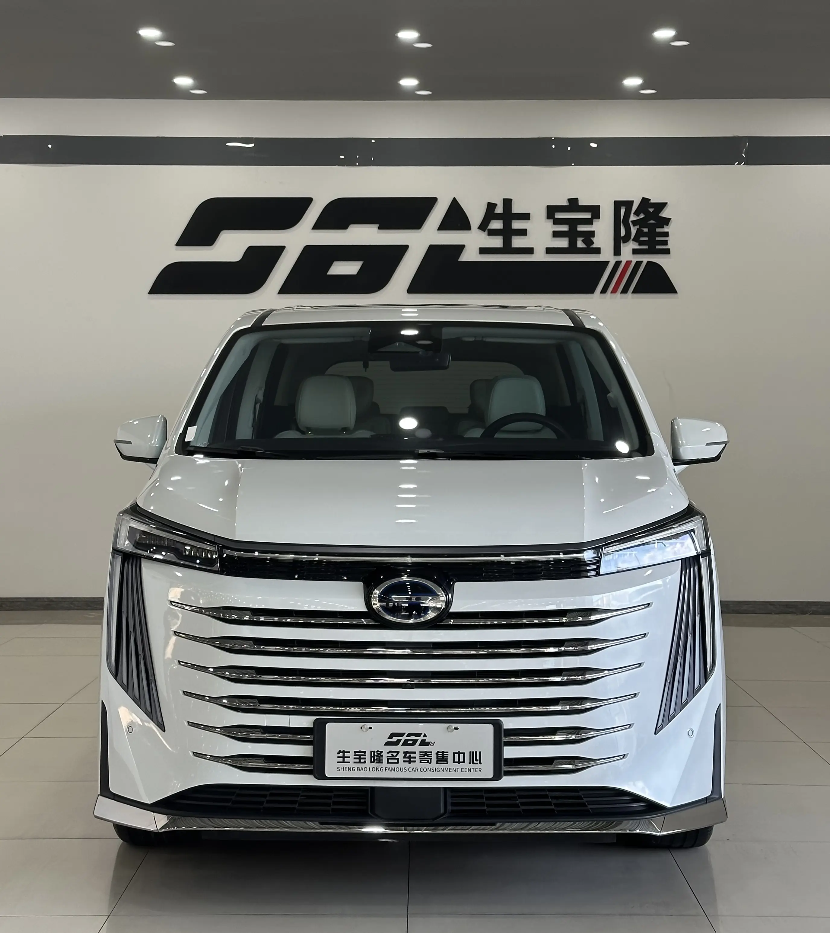 GAC Trumpchi E9 PHEV