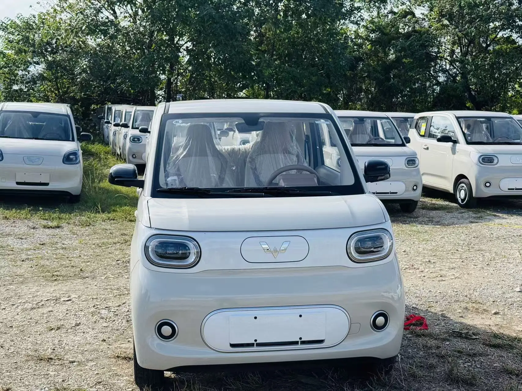 Wuling Hongguang MINIEV  из Китая