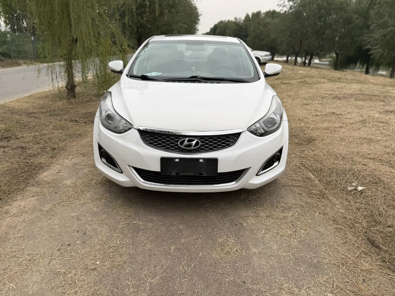 Hyundai Langdong
