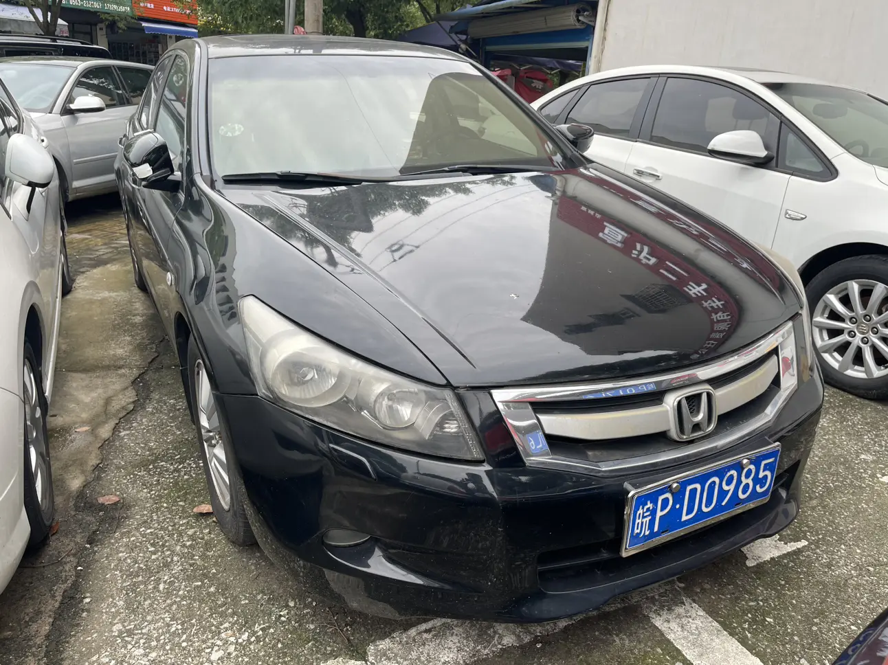 Honda Accord
