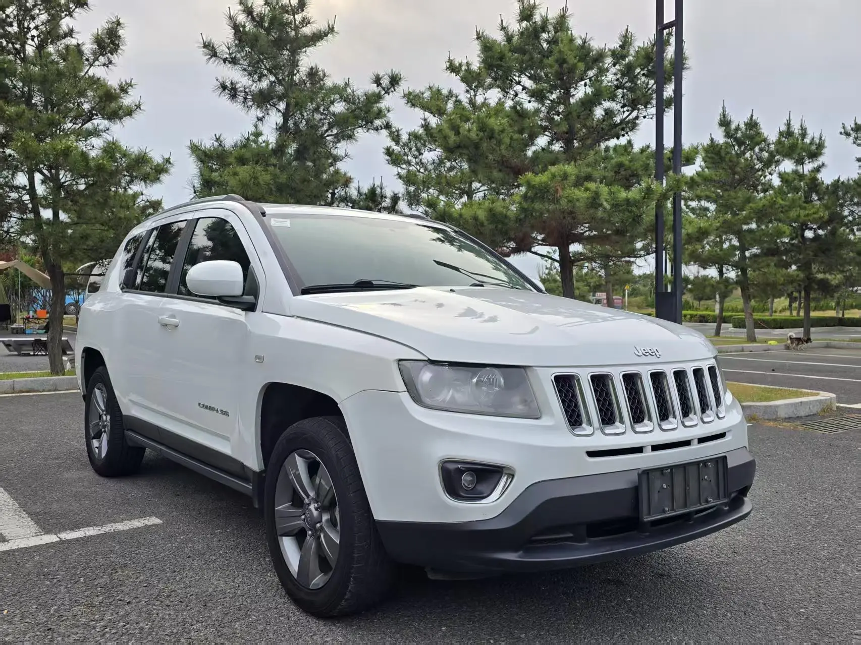 Jeep Compass(Imported)