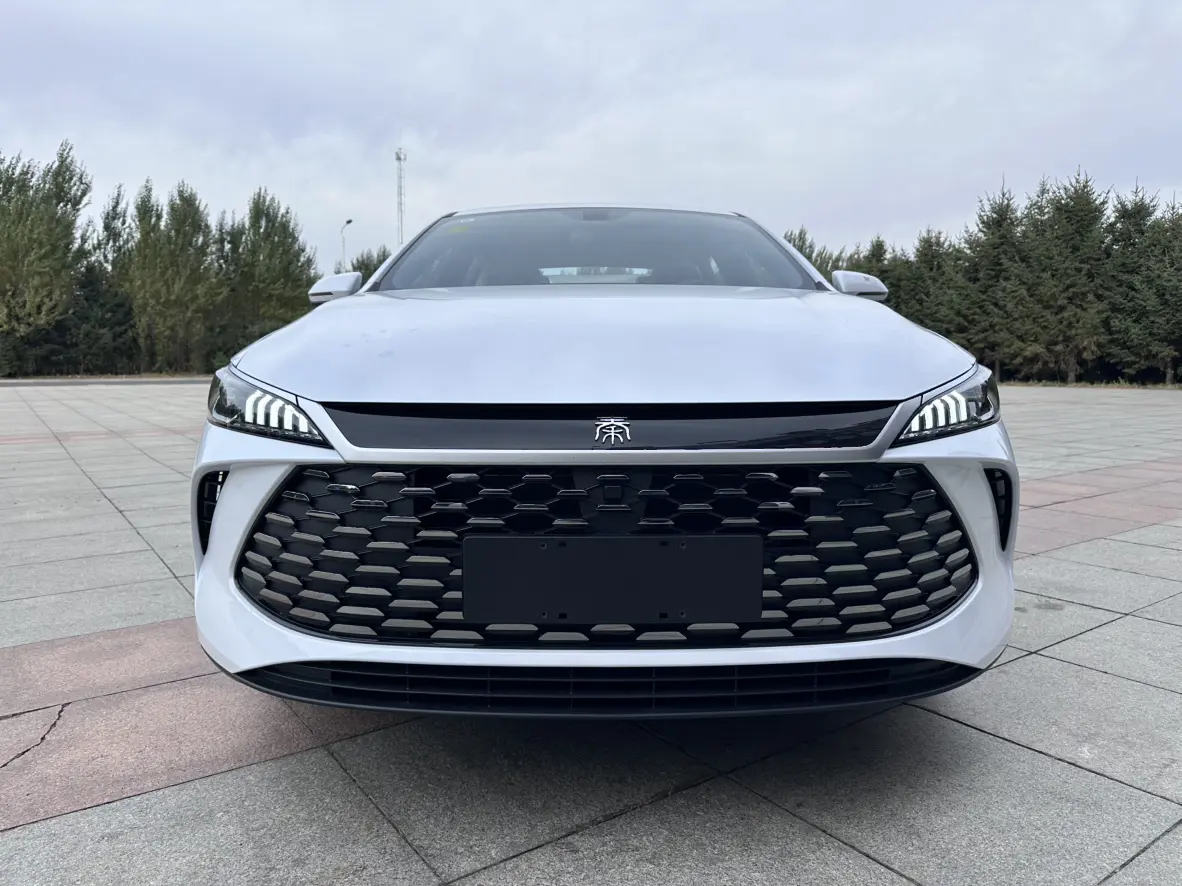 BYD Qin PLUS DM  из Китая