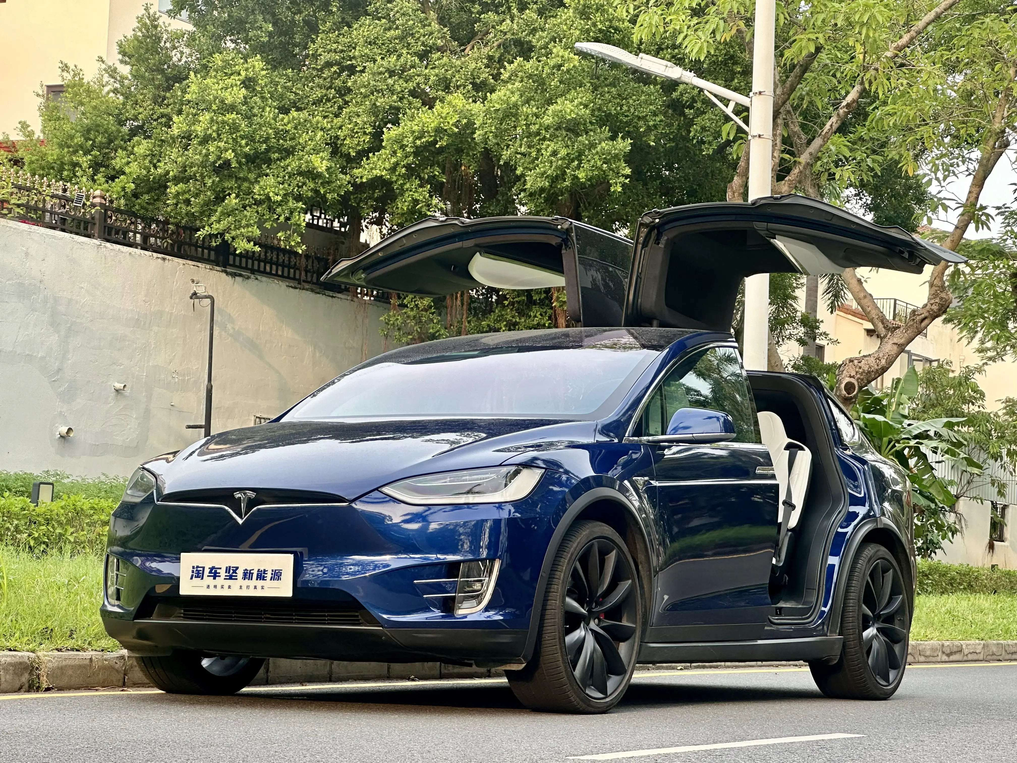 Tesla Model X