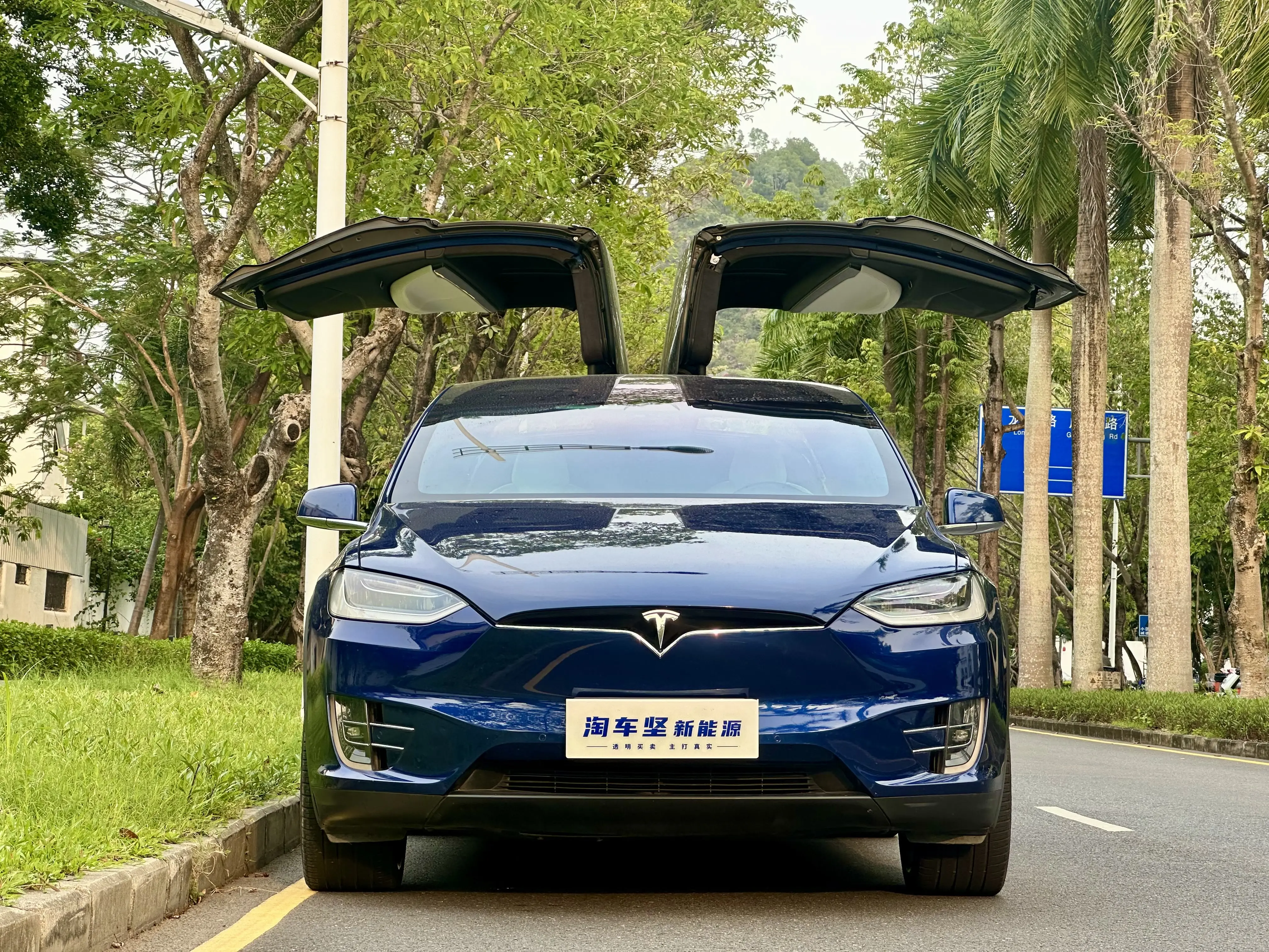 Tesla Model X
