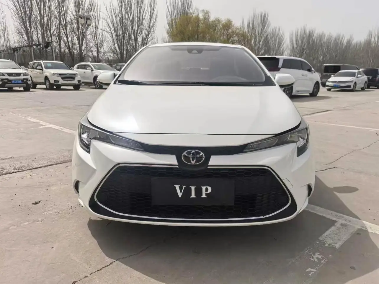 Toyota Levin (Lei Ling)  из Китая