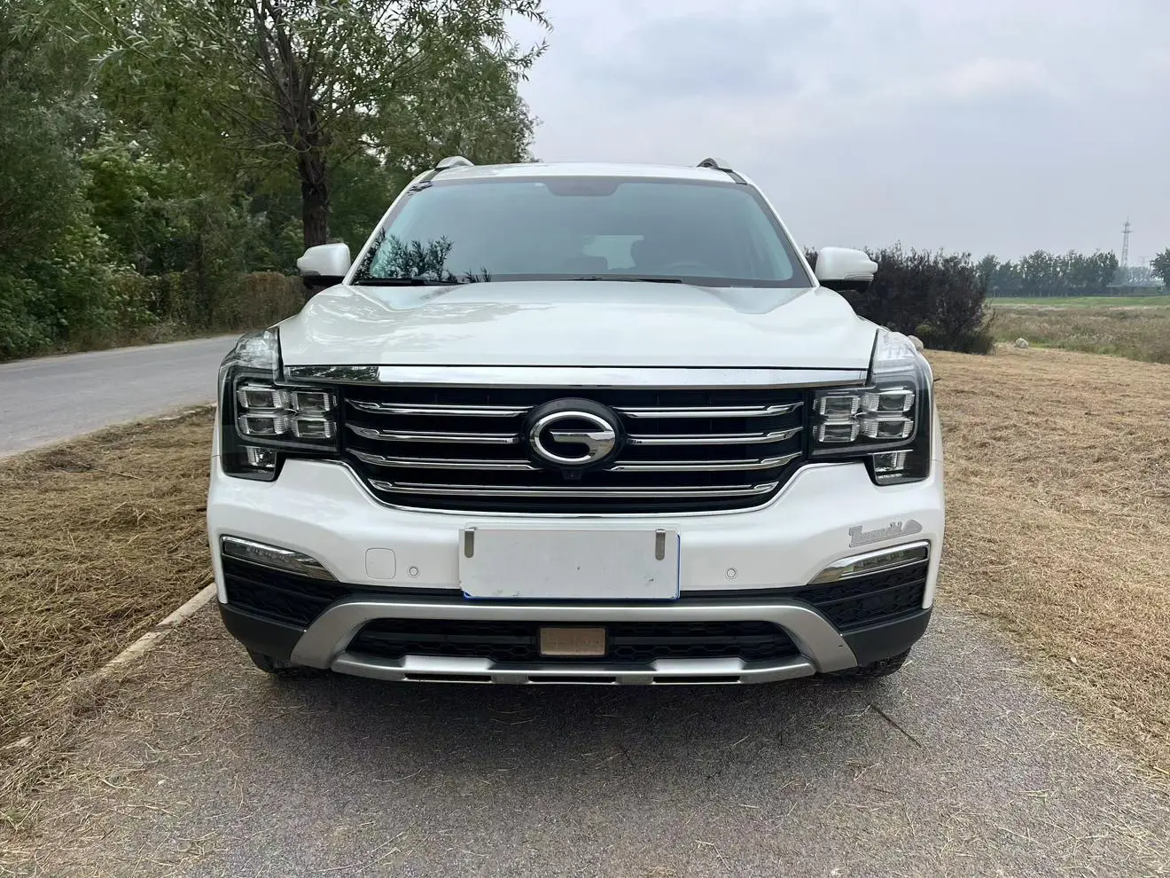 GAC Trumpchi GS8