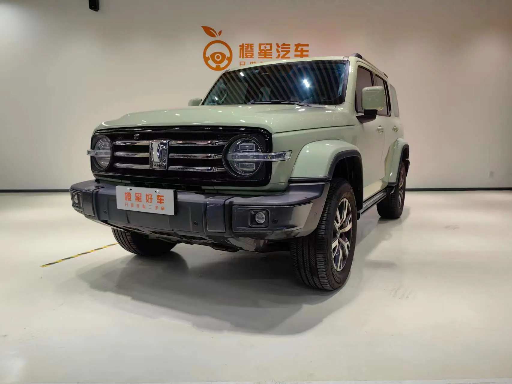 Tank 300  из Китая