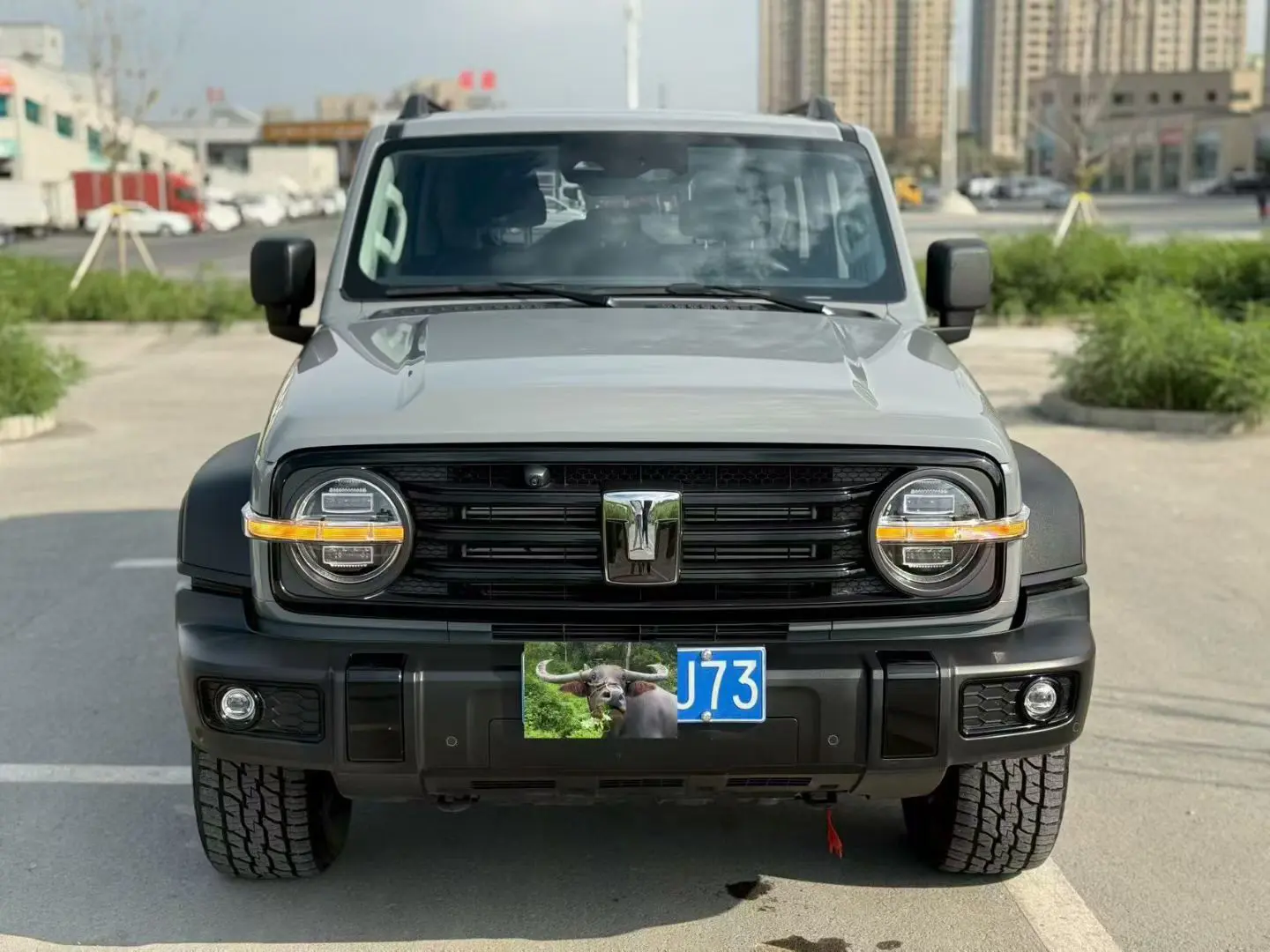 Tank 300  из Китая