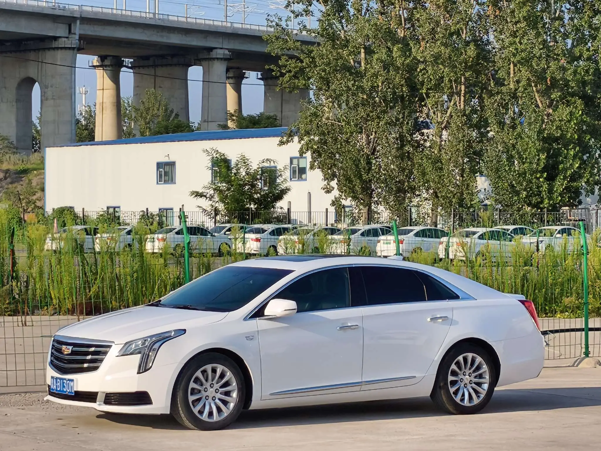 Cadillac XTS